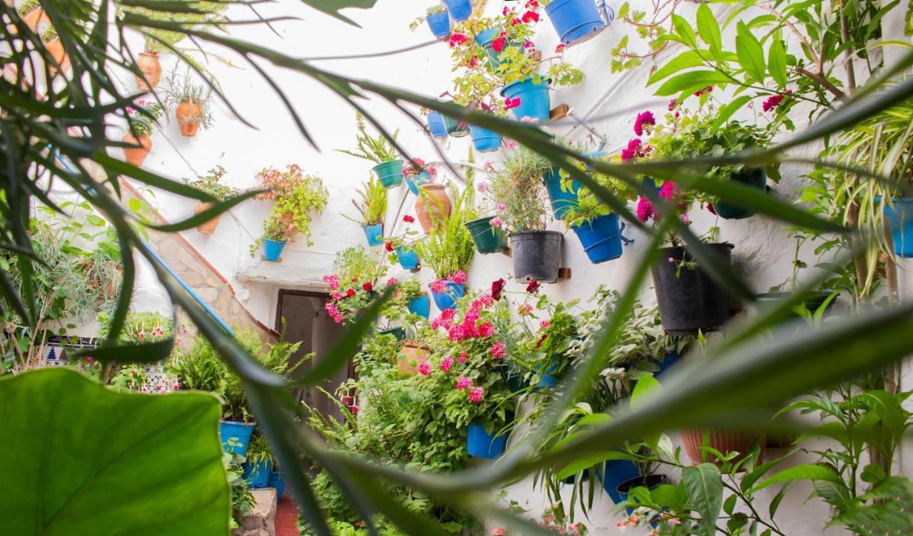 Apartmán Casa Arco De La Pastora Medina-Sidonia Exteriér fotografie